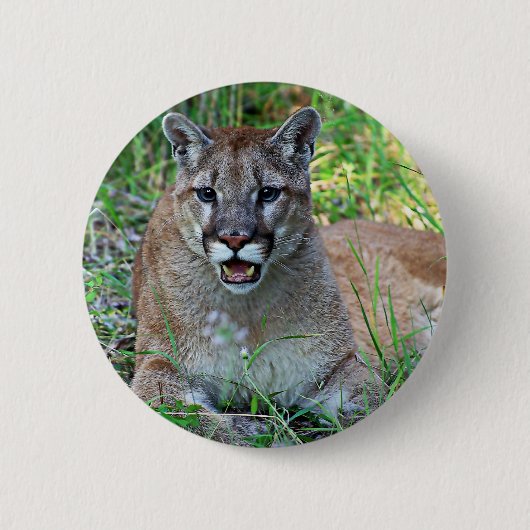 Badge Rond 5 Cm Se plaindre de puma (Devant)