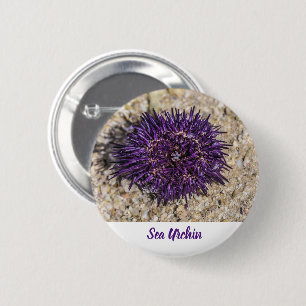 Badge Rond 5 Cm Sea Urchin Ocean Beach Vacances Souvenir d'été