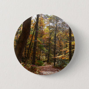 Badge Rond 5 Cm Sentier ensoleillé d'automne dans le parc d'État L