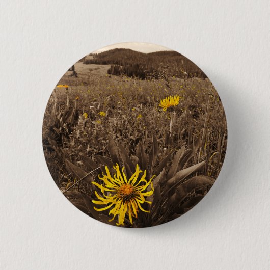Badge Rond 5 Cm Sepia tone fleurs sauvages jaunes (Devant)