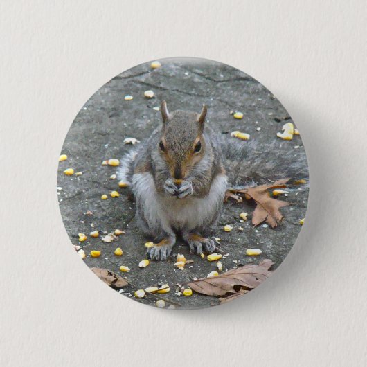 Badge Rond 5 Cm Série d'écureuils gris (Devant)