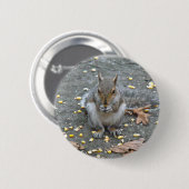 Badge Rond 5 Cm Série d'écureuils gris (Devant & derrière)