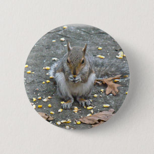 Badge Rond 5 Cm Série d'écureuils gris