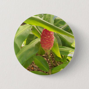 Badge Rond 5 Cm Shampooing Fleur de gingembre