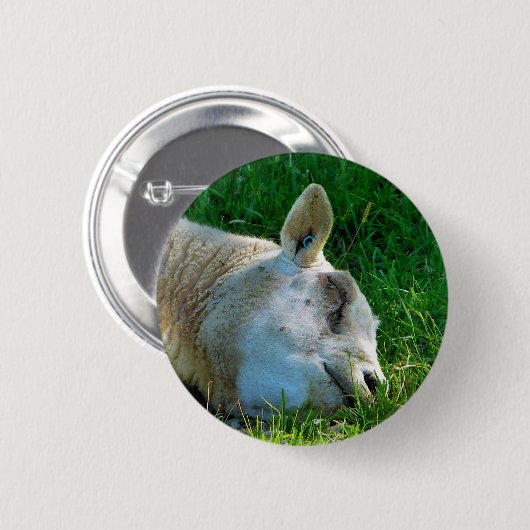 BADGE ROND 5 CM SHEEP (Devant & derrière)