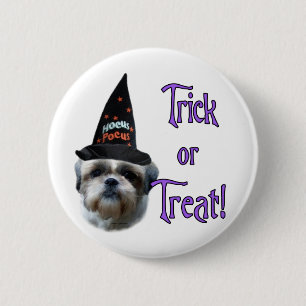 Badge Rond 5 Cm Shih Tzu Trick