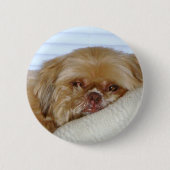 Badge Rond 5 Cm Shitzu mignon (Devant)