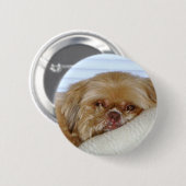 Badge Rond 5 Cm Shitzu mignon (Devant & derrière)