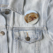 Badge Rond 5 Cm Shitzu mignon (En situation)