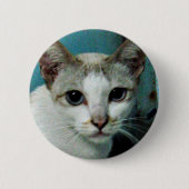 Badge Rond 5 Cm Siamese Chat Friend (Devant)