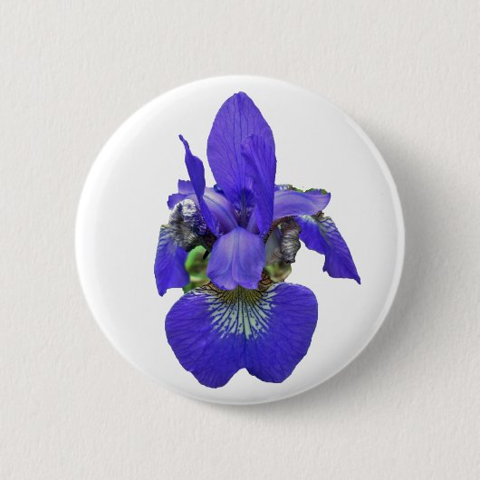Badge Rond 5 Cm Sibérie Iris Coordonner les éléments (Devant)