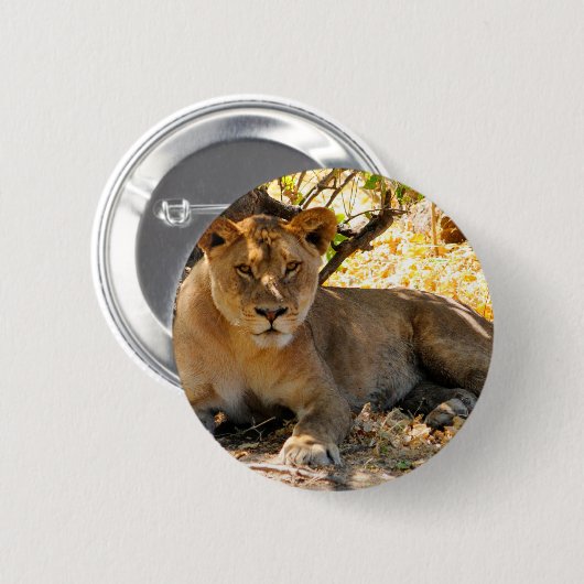 Badge Rond 5 Cm Siesta Time (Devant & derrière)