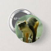 Badge Rond 5 Cm Singe (Devant & derrière)