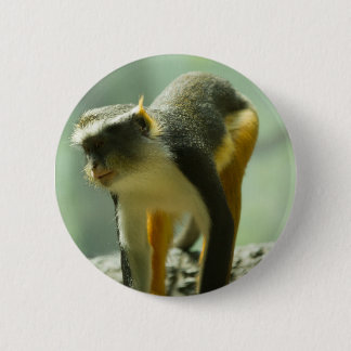 Badge Rond 5 Cm Singe