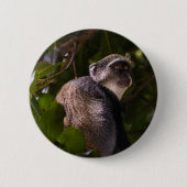 Badge Rond 5 Cm Singe bleu, Zanzibar (Devant)
