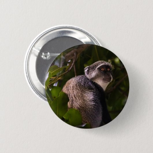 Badge Rond 5 Cm Singe bleu, Zanzibar (Devant & derrière)