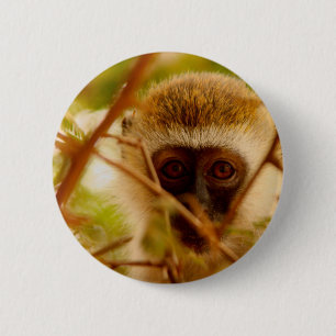 Badge Rond 5 Cm Singe effronté.
