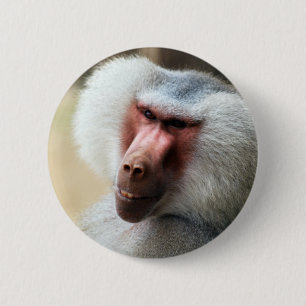 Badge Rond 5 Cm Singe indiquant allo