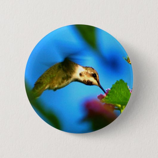 Badge Rond 5 Cm Siroter de colibri (Devant)