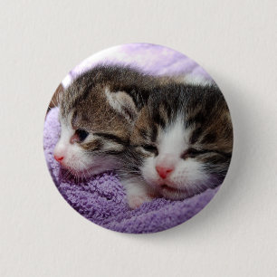 Badge Rond 5 Cm Sleepy kittens