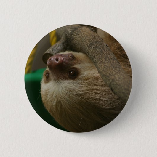 Badge Rond 5 Cm Sloth (Devant)