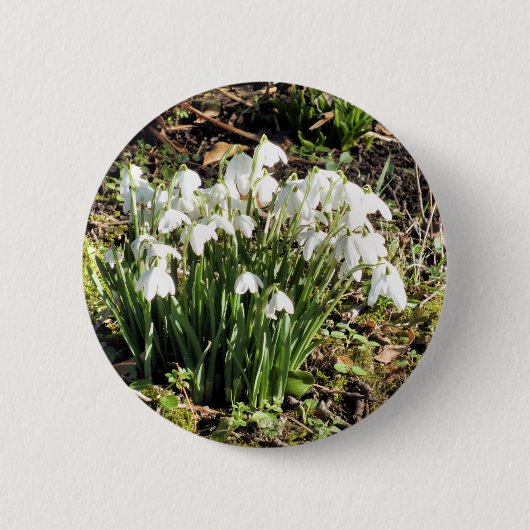 BADGE ROND 5 CM SNOWDROPS (Devant)