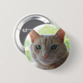 Badge Rond 5 Cm Soleil Kitty (Devant & derrière)