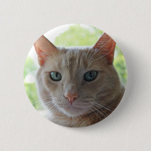 Badge Rond 5 Cm Soleil Kitty