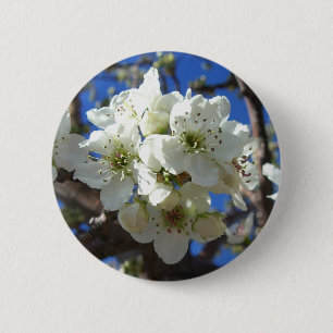 Badge Rond 5 Cm Spring Flowering Pear Tree