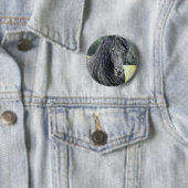 Badge Rond 5 Cm Stallion friésienne (En situation)