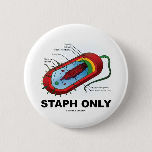 Badge Rond 5 Cm Staphylocoque seulement (humour de médecine de (Devant)