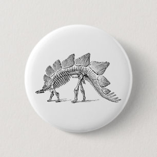 Badge Rond 5 Cm Stegosaurus Dinosaure Squelette Fossile