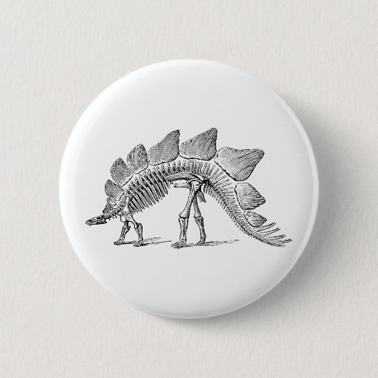 Badge Rond 5 Cm Stegosaurus Dinosaure Squelette Fossile (Devant)