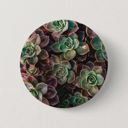 Badge Rond 5 Cm Succulent (Devant)
