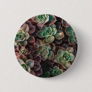 Badge Rond 5 Cm Succulent