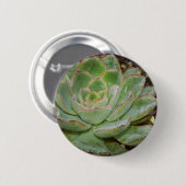 Badge Rond 5 Cm Succulents (Devant & derrière)