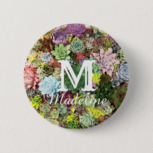 Badge Rond 5 Cm Succulents colorés