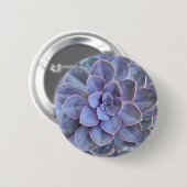 Badge Rond 5 Cm Succulents d'Echeverie pourpre (Devant & derrière)