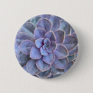 Badge Rond 5 Cm Succulents d'Echeverie pourpre