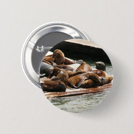 Badge Rond 5 Cm Sunning Lions à San Francisco (Devant & derrière)