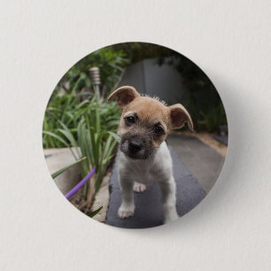 Badge Rond 5 Cm Super mignon chiot Border Terrier