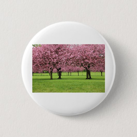 BADGE ROND 5 CM SUPERBE FLEUR DE CERISIER (Devant)