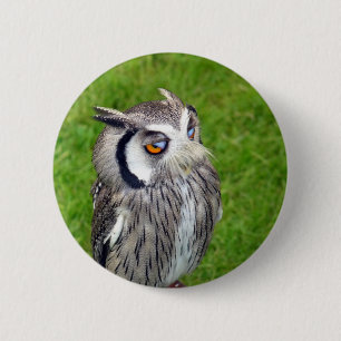 Badge Rond 5 Cm Superbe Petite Chouette
