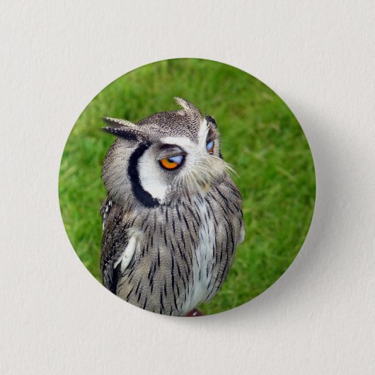 Badge Rond 5 Cm Superbe Petite Chouette (Devant)