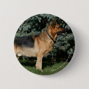 Badge Rond 5 Cm Support d'exposition de berger allemand