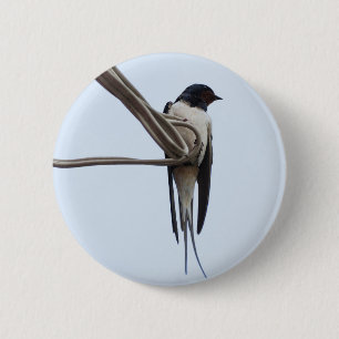 Badge Rond 5 Cm Swallow