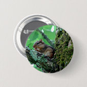 Badge Rond 5 Cm Sweet Chipmunk dans un arbre Vêtements et cadeaux (Devant & derrière)