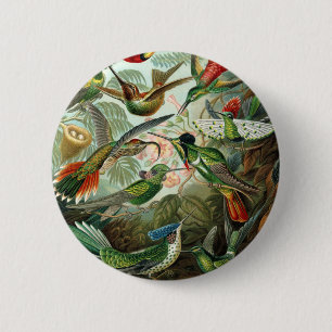 Badge Rond 5 Cm tableau classique de la faune des oiseaux colibris