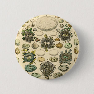 Badge Rond 5 Cm Tableau de nid d'Oiseaux vintage