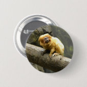Badge Rond 5 Cm Tamarin d'or de lion (Devant & derrière)